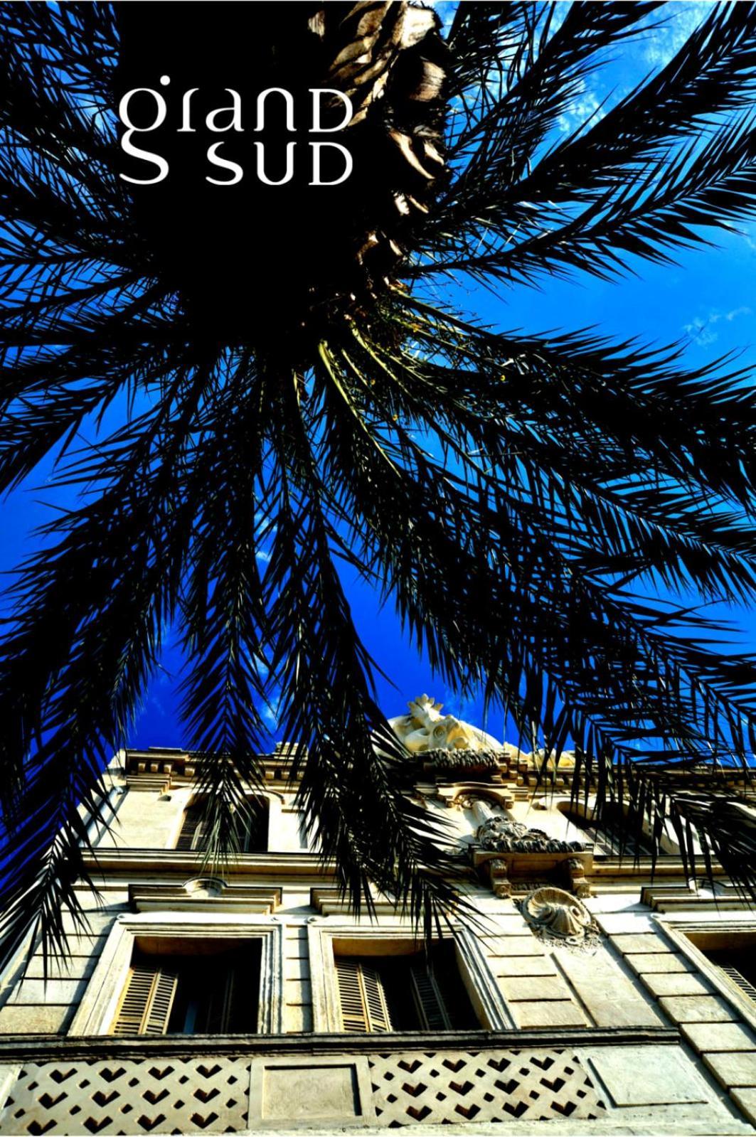 Les Aigrettes - Studio Proche De La Plage Le Grau-du-Roi Exterior foto